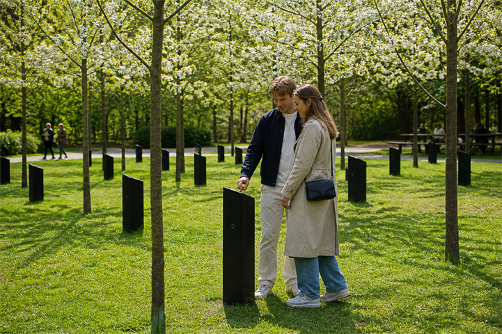 Hør musikken fra de syngene træer i Kildeparken