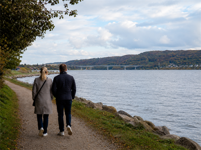 Vejle Fjord